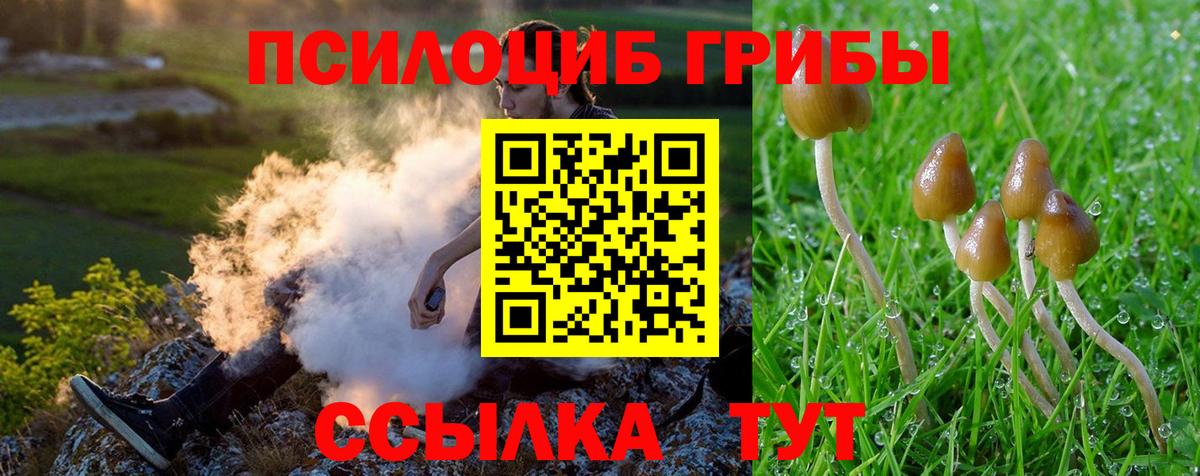 Псилоцибиновые грибы MAGIC MUSHROOMS  Вход с VPN  Калуга  Псилоцибиновые грибы Cubensis 