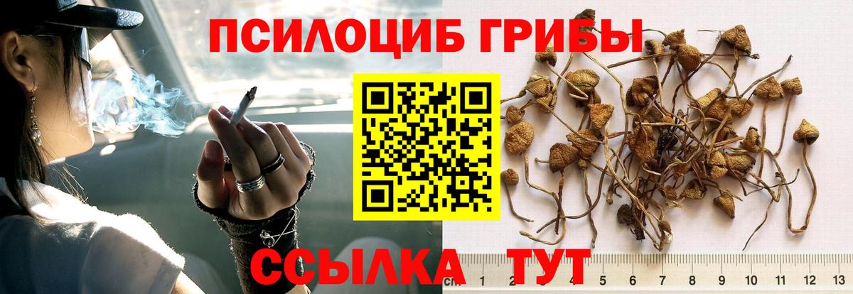 Галлюциногенные грибы ЛСД Калуга