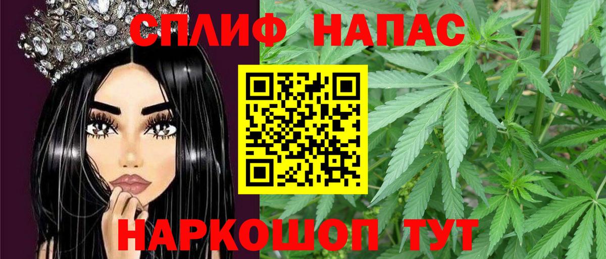 Марихуана конопля Калуга